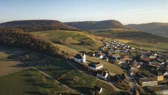 Office Landscape & Wine