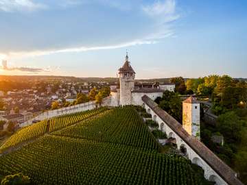 View of the Munot fortress. A round fortress with a tower. The slope in front of the fortress is covered with vines.