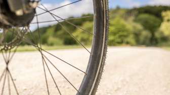 Part of a bicycle wheel riding on a natural path. You can see the edge of the forest in the background.