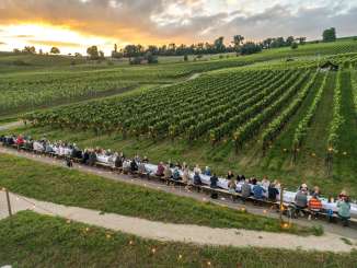 Im Rebberg steht eine lange Tafel an der Personen sitzen.