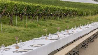 Benches have been arranged among the vines to form a long table, decorated in white and with wildflowers.