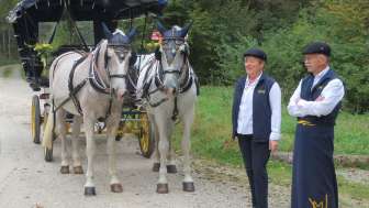 Carriage Rides Vogelsanger