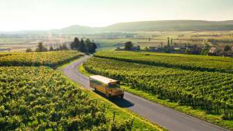 Nostalgia and wine enjoyment Nostalgia and wine enjoyment