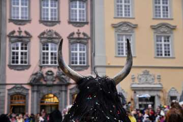 Schaffhausen Carnival You can see a headdress with two horns and black fur from behind. Confetti hangs in the fur.