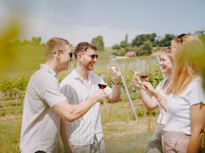 A group of friends is standing in the vineyard. They toast with wine.