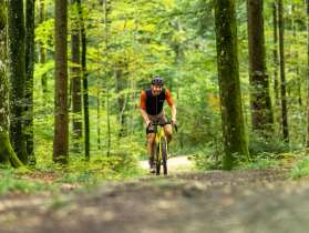 A man riding a yellow gravel bike rides along a nature trail through the forest.