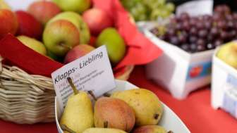 Hedinger's Apple Paradise