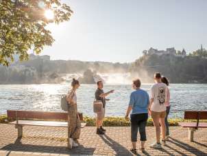 A group of people stand by the Rhine Falls basin. The Rhine Falls can be seen in the background. Everyone is listening intently to one person.