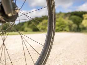 Part of a bicycle wheel riding on a natural path. You can see the edge of the forest in the background.