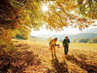 Two people are walking along the edge of the forest, collecting golden leaves from the autumn trees.