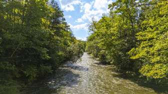 Renaturalized Wutach