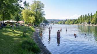 Langwiesen River Bathing Area - Rheinwiese Recreation Center