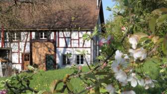 Holiday Apartment Waldblick