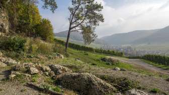 Hot stone, Osterfingen Hot stone, Osterfingen