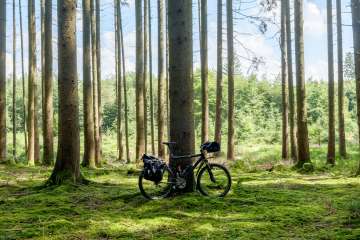 Bike with luggage in the forest There is a bicycle leaning against a tree. The bike is packed with various bike bags.