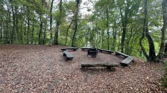 Barbecue Area Neuburg Ruin