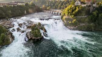 Rhine Falls Ticket