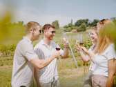 A group of friends is standing in the vineyard. They toast with wine.