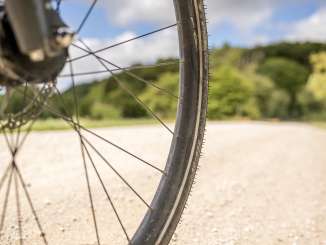 Part of a bicycle wheel riding on a nature path. The edge of the forest is visible in the background.