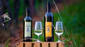 W&W Viticulture Löhningen W&W Viticulture Löhningen