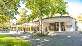 Pavilion in the Park