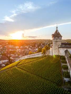 Munot and Schaffhausen's old town View of the Munot round fortress with vines. Behind it you can see the old town of Schaffhausen. The sun sets behind the hill.