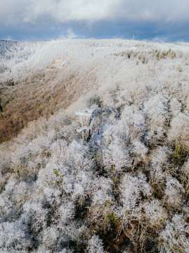 A lookout tower rises out of the slightly white forest.