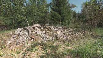 Winterihau Biotope