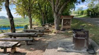 Barbecue Area with Table and Benches