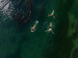 Bird's-eye view of three friends swimming in the green and blue shimmering Rhine.