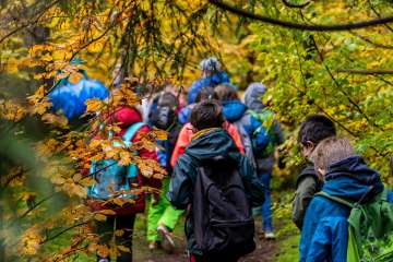 A school class wears rain jackets and backpacks and walks along a forest path through the woods.