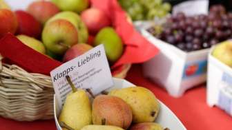 Hedinger's Apple Paradise
