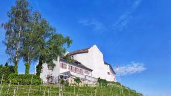 Schwandegg Castle