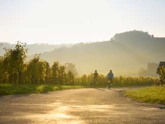 Rheinwelten Two cyclists ride through the vines in the golden evening light.